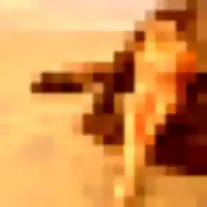 Israëlle, femme de 23 ans propose rencontre adulte à Gonfaron