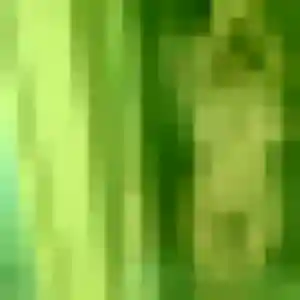 Contacte Ursula, 20 ans à Graçay en privé