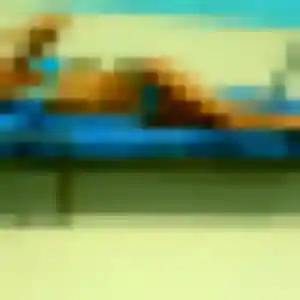 Roxane, femme de 26 ans propose rencontre adulte à Grandfresnoy