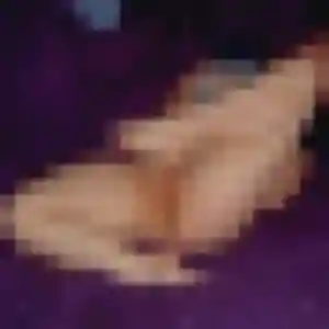 Sexy Sokhna, 21 ans à Grandpuits-Bailly-Carrois - découvrir son profil