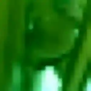 Inès, fille de 44 ans veut rencontre adulte à Groslay