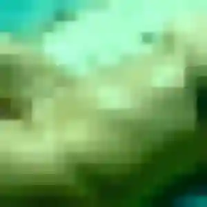 Christelle, 31 ans, connectée à Groslée-Saint-Benoit pour une rencontre coquine