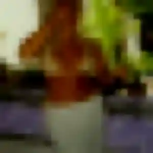 Profil de Omolara à Gruissan (19 ans) - rencontre adulte anonyme