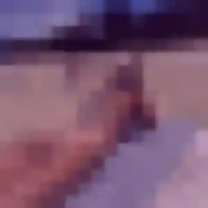 Nadège, 23 ans, cherche un rencontre adulte à Gruson