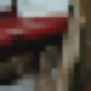 Antoinette (26 ans) à Guéhenno propose une rencontre aujourd'hui