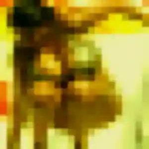 rencontre adulte à Guemps : photo de Dado, 27 ans - inscription gratuite