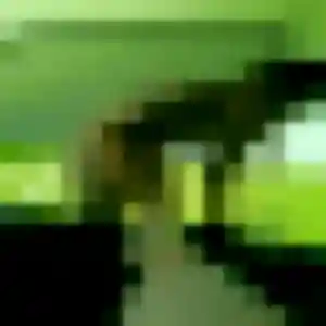 Dienaba, 27 ans, connectée à Guenviller pour une rencontre coquine