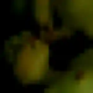 Félicité, 24 ans, cherche un rencontre adulte à Guerting