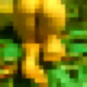 Yetunde, fille de 20 ans propose rencontre adulte à Guilly