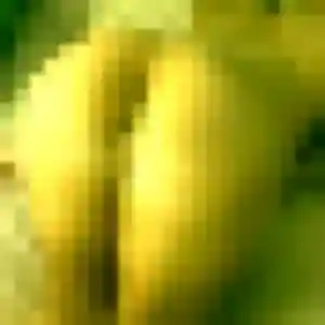 Découvre Efua, 33 ans à Halluin gratuitement