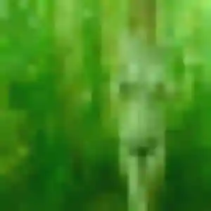 Photo de Ketsia à Hardinvast (19 ans) - rencontre adulte gratuit