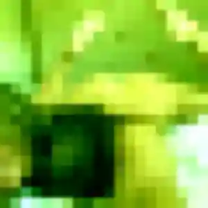 Aurore de Hardricourt, 42 ans - rencontre adulte en toute liberté