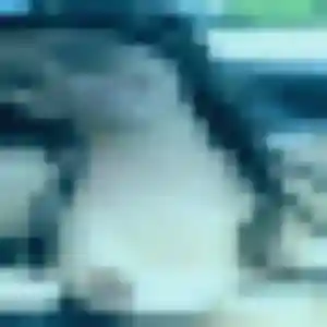 Divine, 40 ans, cherche un rencontre adulte à Harfleur