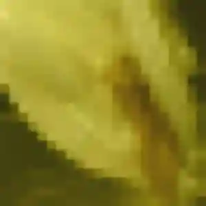 rencontre adulte à Hatten : photo de Hélène, 34 ans - sans engagement