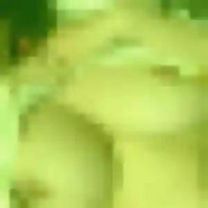 rencontre adulte à Hauteroche : profil de Safi, 26 ans - inscription gratuite
