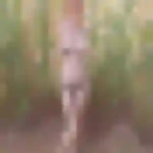 Photo privée de Emilie, 33 ans à Hauteville-sur-Mer - plan discret