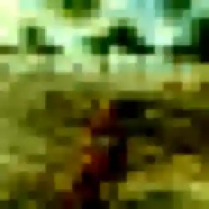 Profil de Constance à Haverskerque (37 ans) - rencontre adulte discret