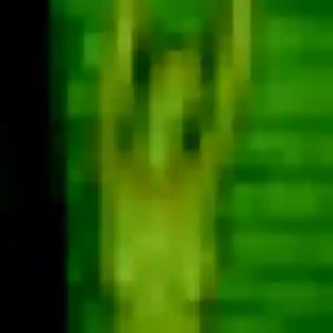 Zoé, fille de 26 ans propose rencontre adulte à Hédé-Bazouges