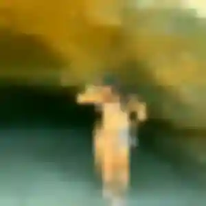 Stella (36 ans) à Herbeys cherche une rencontre aujourd'hui