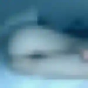 Maimouna (32 ans) à Hermies propose une rencontre maintenant