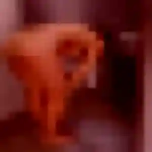 Sarjo, 24 ans, connectée à Héry pour un rencontre adulte