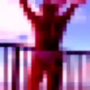 Photo perso de Faustine, 24 ans à Hesdin-l'Abbé - rencontre sans lendemain