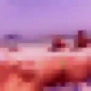 rencontre adulte à Heugas : photo de Ama, 22 ans - sans engagement