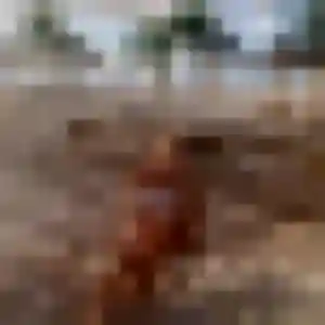 Profil de Tatu à Ippling (38 ans) - rencontre adulte anonyme