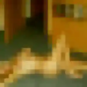 rencontre adulte à Isle : photo de Rokia, 30 ans - inscription gratuite