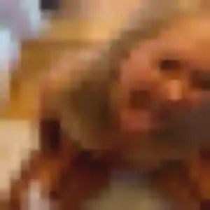 Photo de Déla à Isles-lès-Villenoy (37 ans) - rencontre adulte anonyme