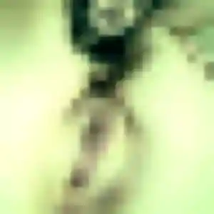 Photo de Adaeze à Izier (29 ans) - rencontre adulte gratuit