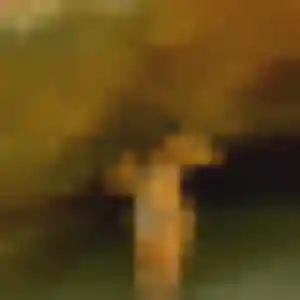 Nabou (29 ans) à Jacou propose un rencontre adulte rapidement