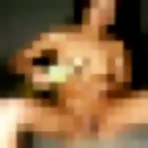 Profil de Bola à Jallans (32 ans) - rencontre adulte gratuit