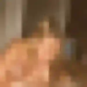 Profil de Yasmine à Jargeau (23 ans) - rencontre adulte sans inscription