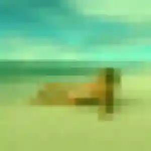 Déla, femme de 34 ans cherche rencontre adulte à Jarnac