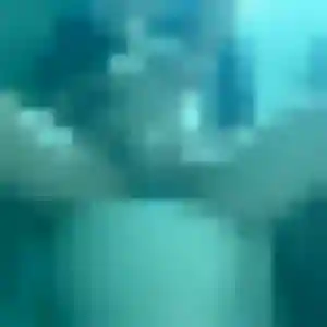 Photo de Noémie à Jaux (24 ans) - rencontre adulte gratuit