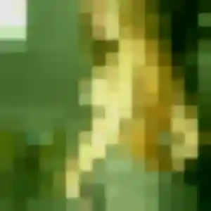 Photo de Awa à Javerdat (25 ans) - rencontre adulte discret