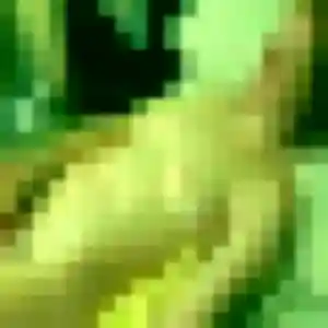 Solène, 44 ans, connectée à Jonquerettes pour un rencontre adulte