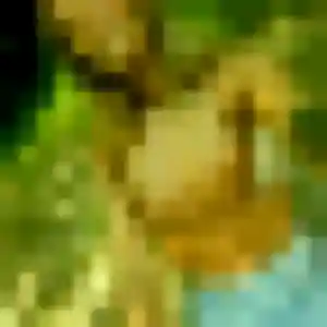 rencontre adulte à Junas : photo de Jamila, 42 ans - accès libre