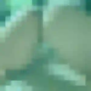 Photo de Codou à Kersaint-Plabennec (22 ans) - rencontre adulte anonyme