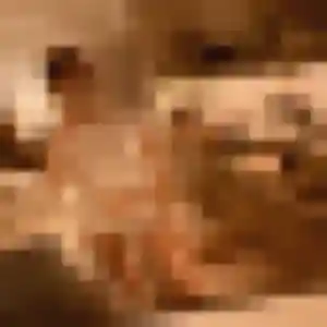 Jolie Aurore, 43 ans à La Bassée - la contacter