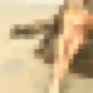 Photo de Dorothée à La Broque (24 ans) - rencontre adulte anonyme