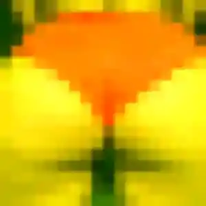 Photo exclusive de Olive, 40 ans à La Bruffière - plan discret