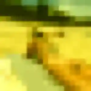 Coumba, 23 ans, connectée à La Brûlatte pour une rencontre coquine