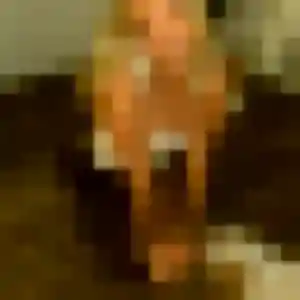 rencontre adulte à La Devise : profil de Ayélé, 25 ans - sans engagement