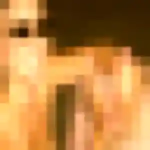 Dieynaba, 36 ans, veut un rencontre adulte à La Ferté Macé