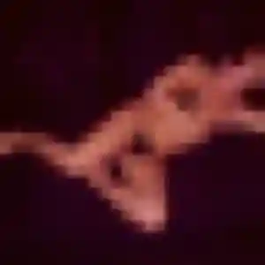 Fanta, 22 ans, disponible à La Force pour une rencontre coquine