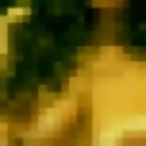 Uchenna (38 ans) à La Gravelle propose une rencontre aujourd'hui