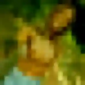Photo privée de Amara, 34 ans à La Grigonnais - rencontre coquine