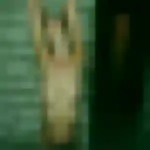 Mame, 35 ans, connectée à La Milesse pour une rencontre coquine
